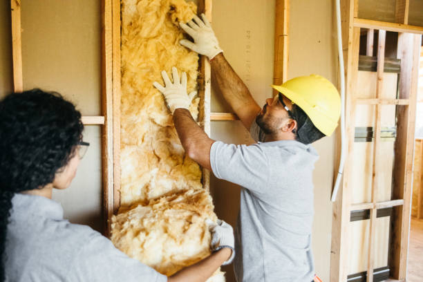 Insulation Repair Services in Lewiston, MN